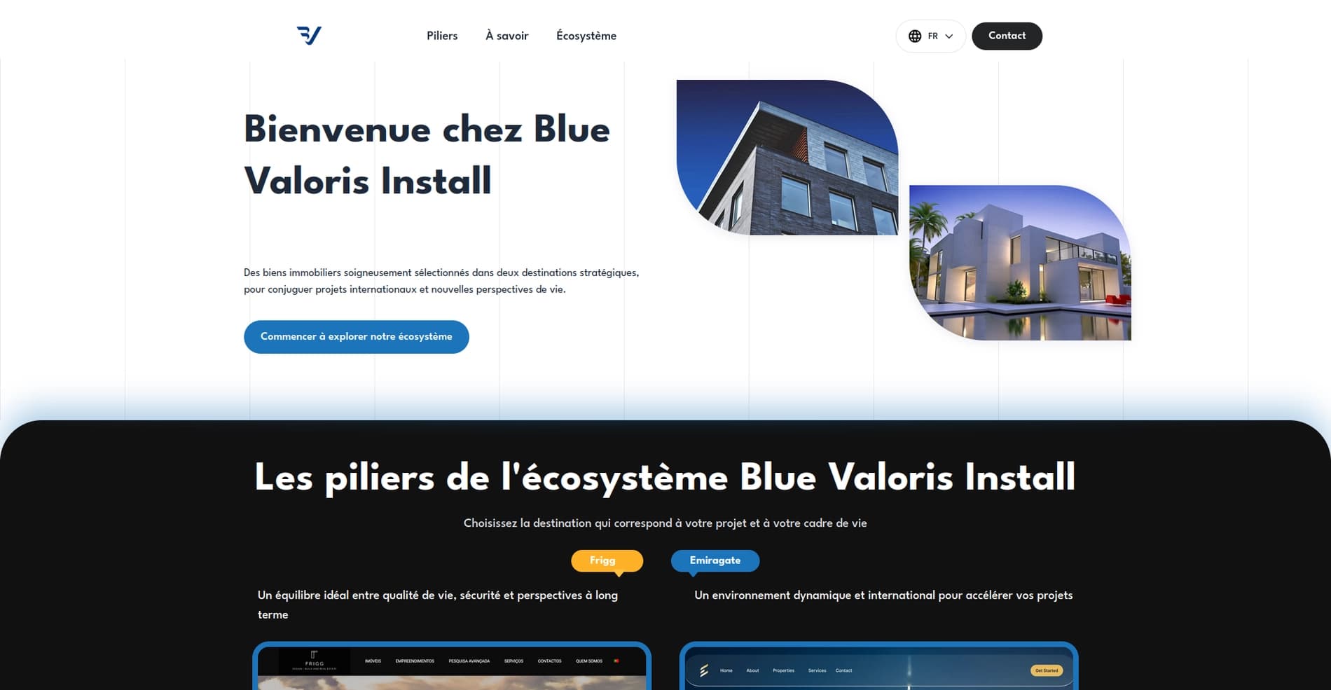 Blue Valoris Install Logo